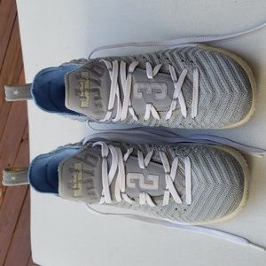 Nike LeBron James King Lion men's shoes